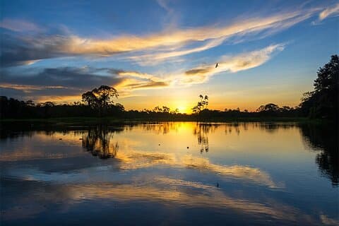 Tambopata Eco Jungle 3-dagers tur : (Natur og dyreliv)