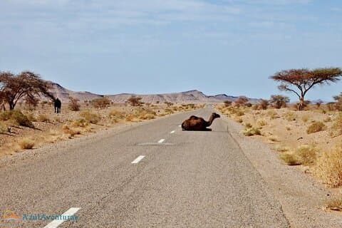 2-Day Private Tour from Marrakech to the Sahara Desert and Camel trek