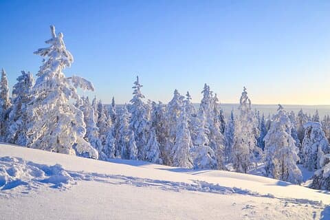 Wilderness Survival Tour - Hiver