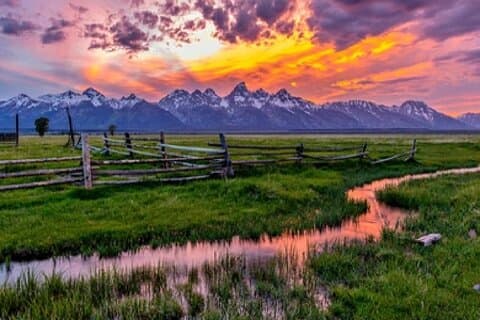 Grand Teton Wildlife Safari in een afgesloten of openluchtvoertuig (afhankelijk van het seizoen)