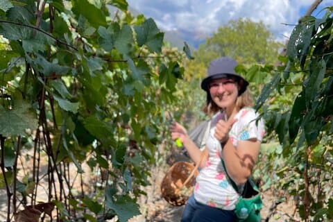 Wine tour to Kakheti region from Tbilisi, Bake and take, Harvest and squish !