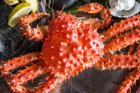 Premium King Crab Route i Tierra del Fuego