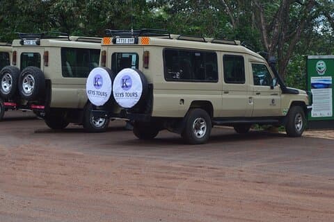 Safari de 6 jours: parc national de Manyara, Ngorongoro, Serengeti et Tarangire