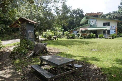 Monteverde lokal upplevelse guidad tur från Monteverde