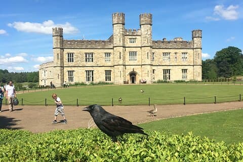 Excursão privada ao castelo de Leeds saindo de Londres com ingressos
