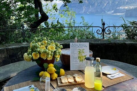 Visita guiada à história e tradição do limão de Sorrento