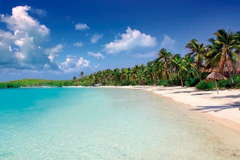 Paradise Islands Tour: Isla Contoy et Isla Mujeres