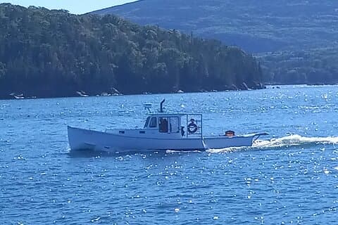 Private Sightseeing Charter in Frenchman Bay