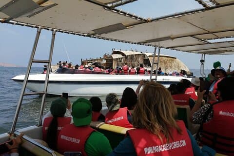 Ganztägige Paracas Islas Ballestas mit Sandboarding und Dünenbuggy