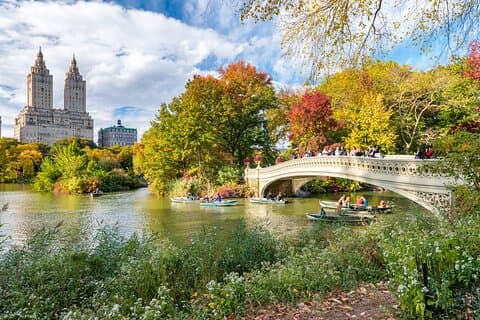 Tour privato a piedi di Central Park con trasferimenti