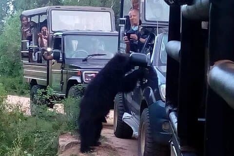 Private Tagestour im Yala-Nationalpark mit Mittagessen
