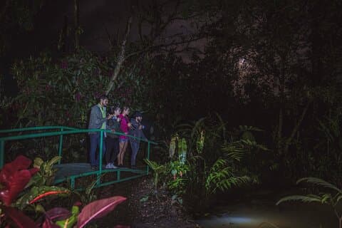 Ecogarden Arenal Night Walk