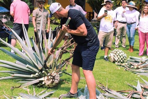 Tour Privado día de Aventura en Tequila y Tequilera Cava de Oro