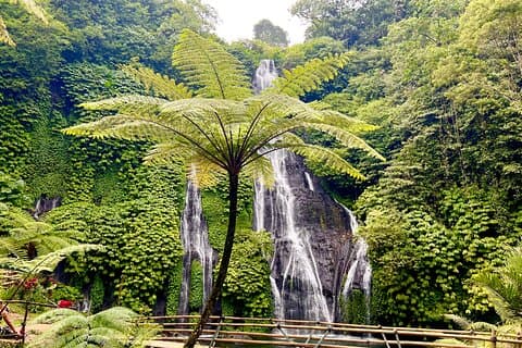 Banyuwana & Banyumala Waterfalls Tour Private - All-Inclusive