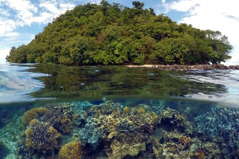 Forfait 5D4N Puerto Princesa et Port Barton