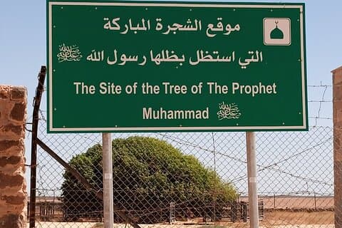 Tree of Al Buqayawiyya and Seven Sleepers Cave Tour Privado