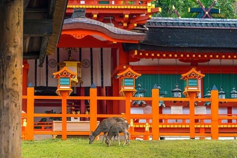 Privat tilpasset 3 hele dages turpakke: Oplev Kyoto, Arashiyama og Nara