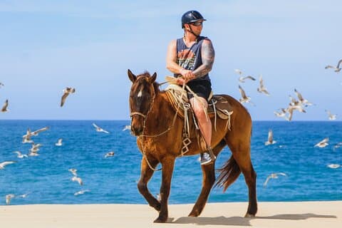 Woestijn- en strandpaardrijervaring in Cabo