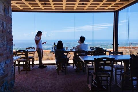 From Florence PRIVATE:Bolgheri Wine Tour,tasting among the Tuscany coastal hills