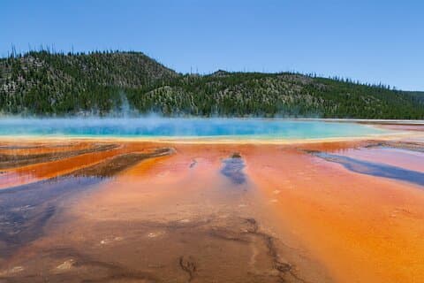 Volledige dag Yellowstone Nat'l Park Tour vanuit Big Sky - privétour