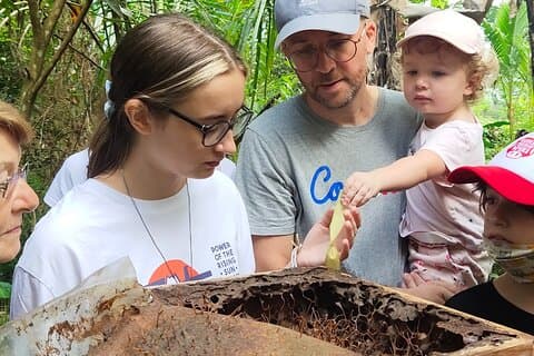 Stingless Bee Honey Farm and Biodling Tour