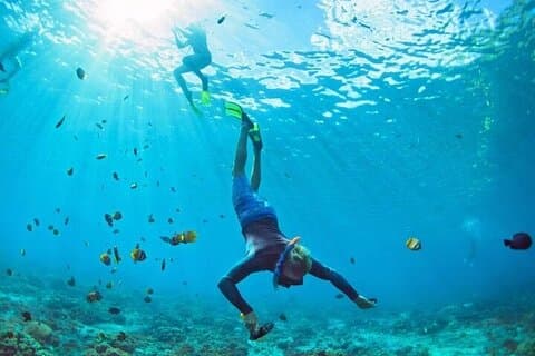 Expérience de plongée en apnée et d'observation des dauphins de 3 heures à Mascate