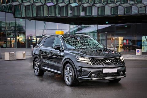 Luxury Private Transfer from Keflavik Airport to Reykjavik