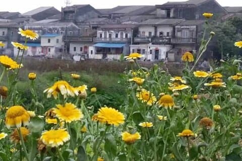Private Day Tour to Meijia Countyard & Taishan from Guangzhou