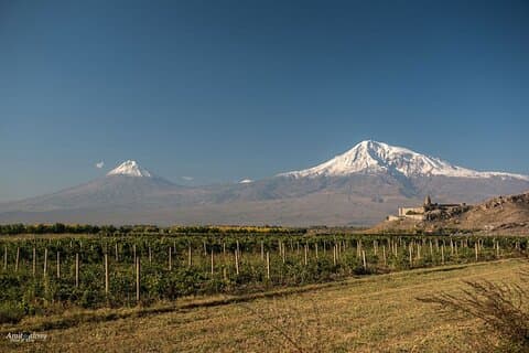 Fra bakkene til bibelsk Ararat til den 6100 år gamle vingården