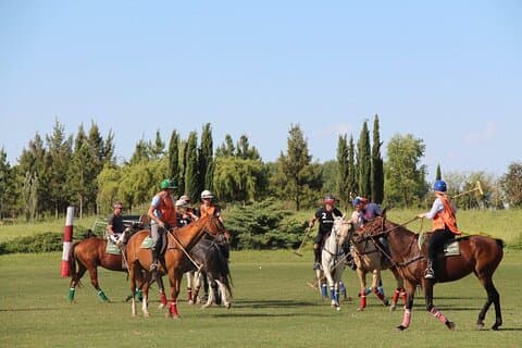 Passeios a Cavalo e Pólo em Buenos Aires