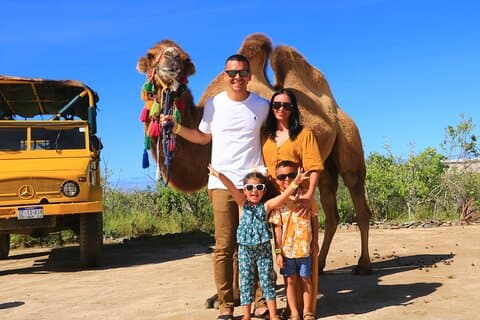 Experiencia montando Camellos a la orilla del Océano Pacífico