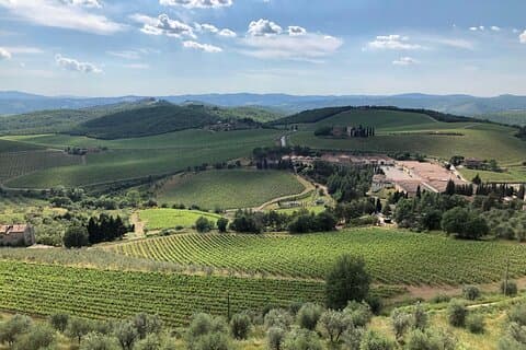 Discover Chianti Classico Wines DiWine Experience