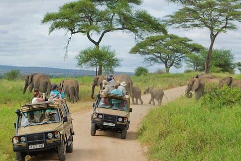 3 Days Luxury Lodge Safari til Tarangire, Lake Manyara og Ngorongoro krater