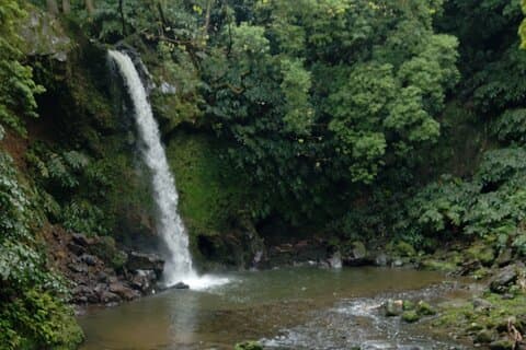 The Waterfalls route in São Miguel (Hiking)