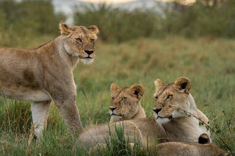 Samburu, Aberdare and Maasai Mara Adventure 11days/10nights.