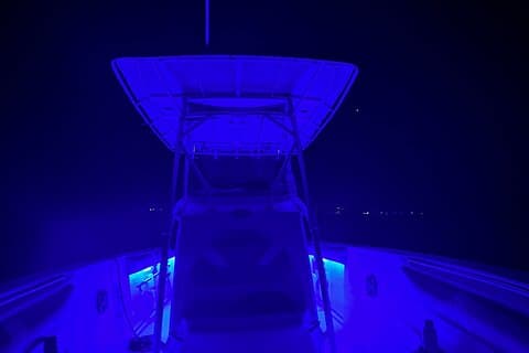 Night Snorkel & Boat Adventure – Drinks & Appetizers Included