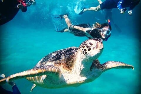 Heldags privat tur i Abu Dabbab-stranden og Marsa nasjonalpark