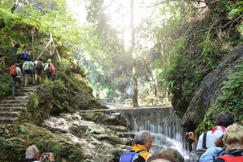 Private tour in Valle delle Ferriere with Gennaro