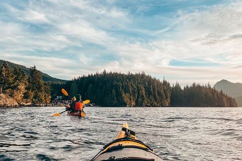 Vancouver Island: Half-Day Kayak Tour from Telegraph Cove