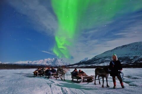 Reindeer Sledding and Feeding with Chance of Northern Lights Tromso