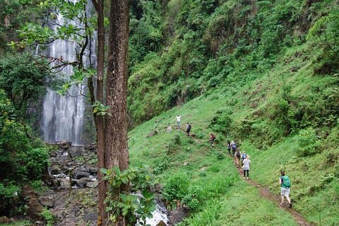 Swim to Materuni and Kikuletwa Hotspring