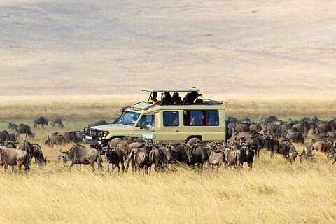 5 Tage Mittelklasse Ballon Safari Tarangire, Ngorongoro & Serengeti