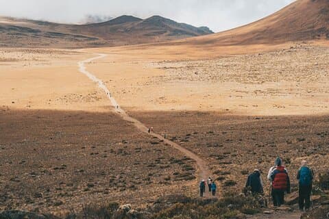 5 Days Private Kilimanjaro Hike through Marangu Route