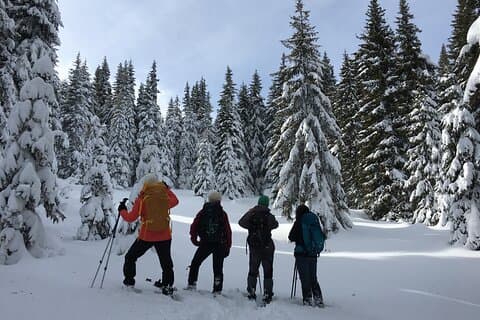 Snowshoeing day trip from Bansko to Rhodope Mountains