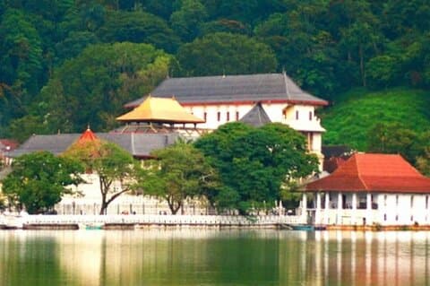 Kandy Private Day Tour from Colombo & Negombo