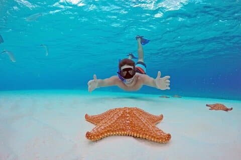 Maravilhas subaquáticas de Cozumel: El Cielo Sandbar e mergulho com snorkel nos recifes