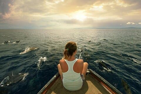 Marsa Alam: Sataya Dolphin House Snorkeltur