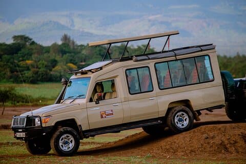 5 jours de vie parmi les lions avec Kojuu Safaris - Lodge milieu de gamme