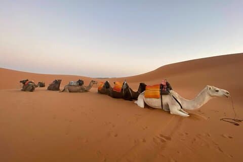 3-Day Fes to Marrakesh Desert Private Tour