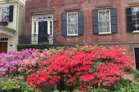 Walking Tour of Savannah's Must-See Sights